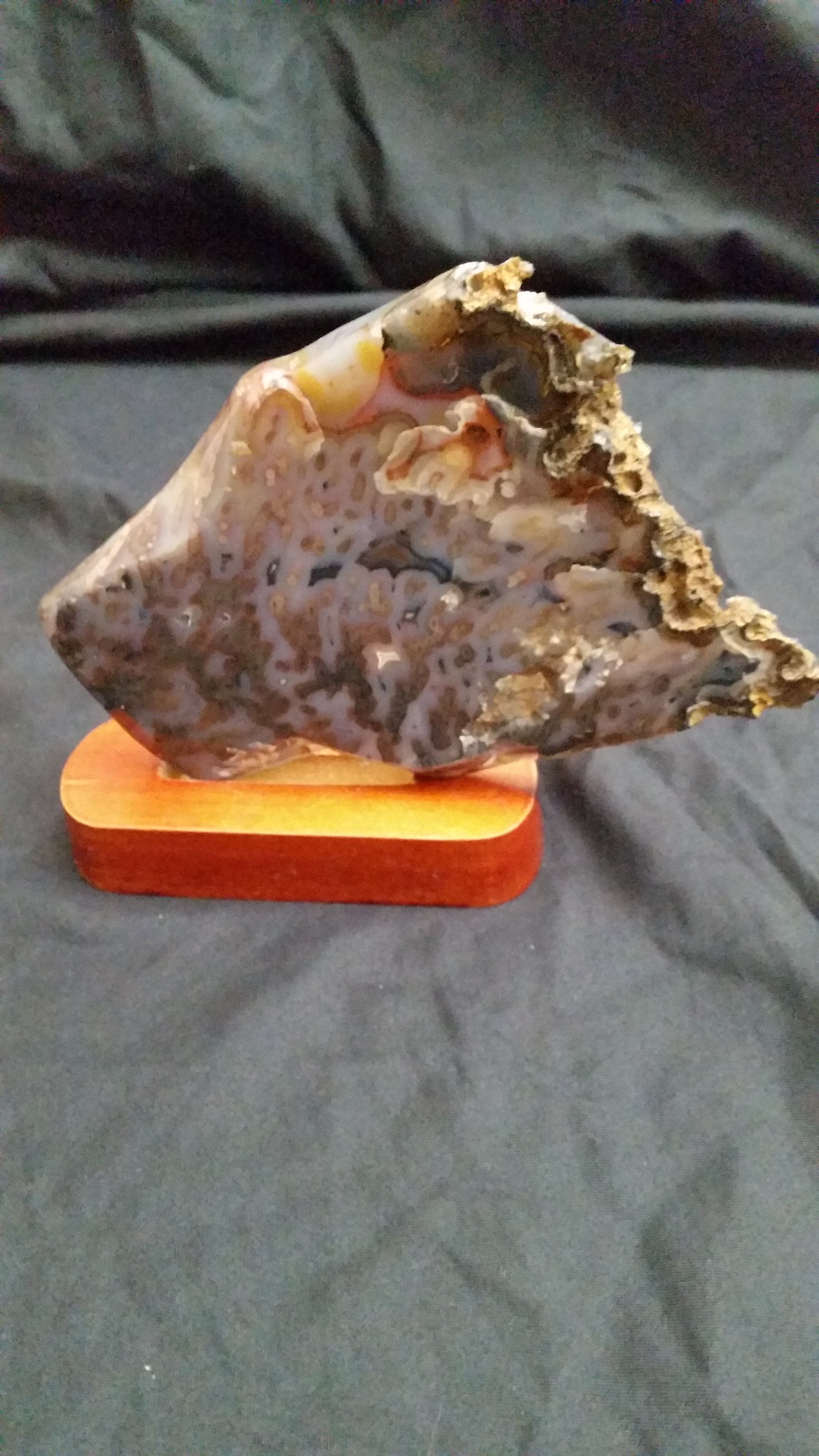Agate Slice with Natural Edge
