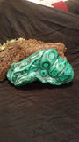 Large Malachite Freeform
