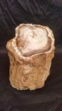 Petrified Wood Stump