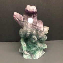 Fluorite cobra, X-Large