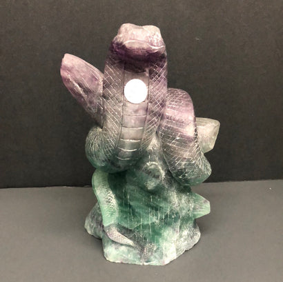 Fluorite cobra, X-Large