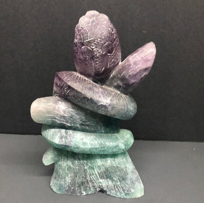 Fluorite cobra, X-Large